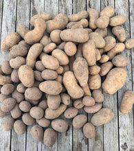 Lade das Bild in den Galerie-Viewer, 10kg Brandenburger Bio-Kartoffeln von PlantAge eG
